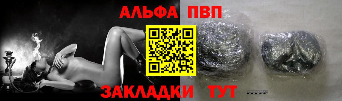 Альфа ПВП СК Гатчина