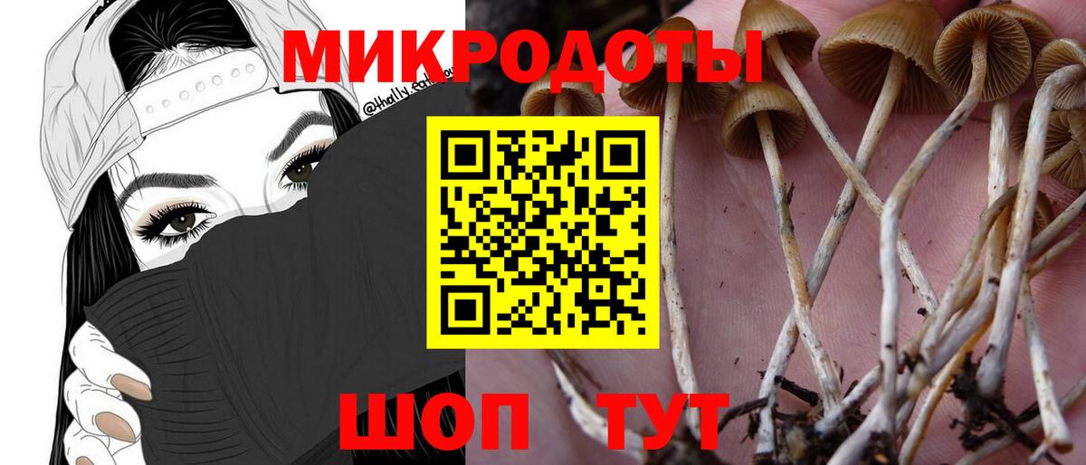 Гатчина  закладка  Вход с VPN  Галлюциногенные грибы MAGIC MUSHROOMS 