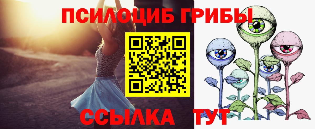 Псилоцибиновые грибы Psilocybe Гатчина
